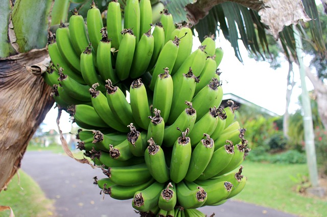 バナナの選び方